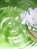 <h2>Luxury Products You Deserve</h2>